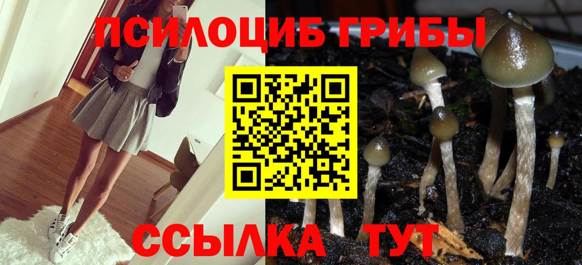 Галлюциногенные грибы Magic Shrooms Сафоново